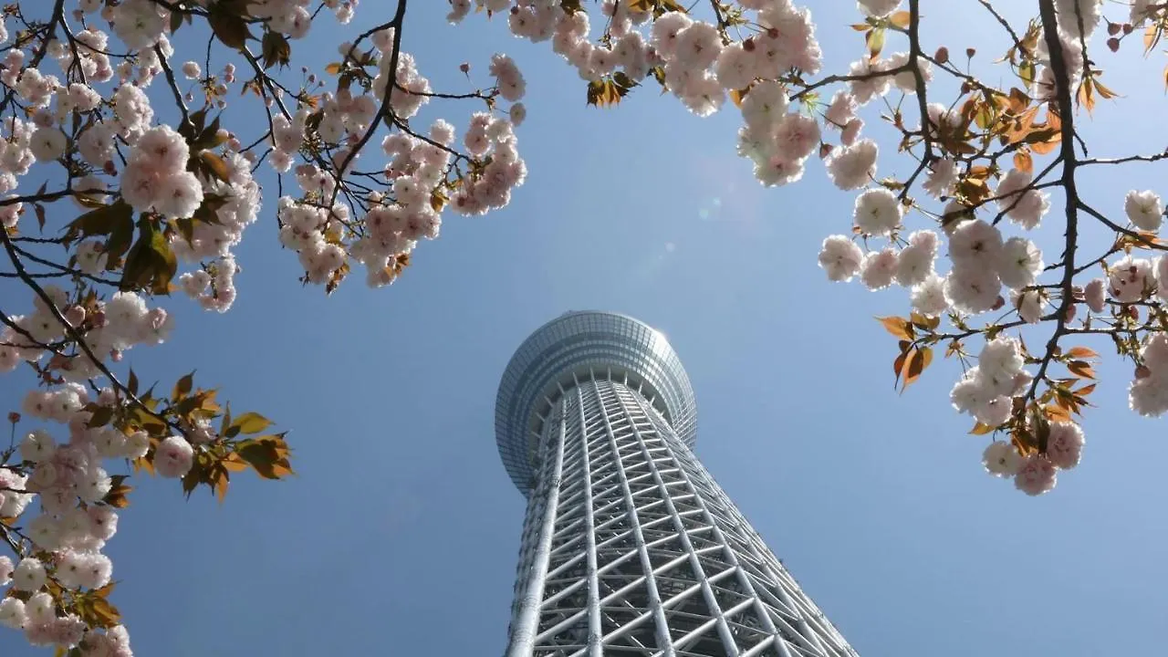 Apartment Zaito Tokyo Skytree Economy Inn-Yokokawaii 宅东东京晴空塔舒适旅馆-横川ii号店