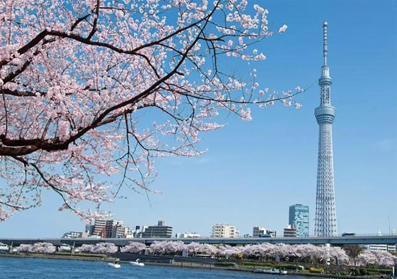 Apartment Zaito Tokyo Skytree Economy Inn-Yokokawaii 宅东东京晴空塔舒适旅馆-横川ii号店